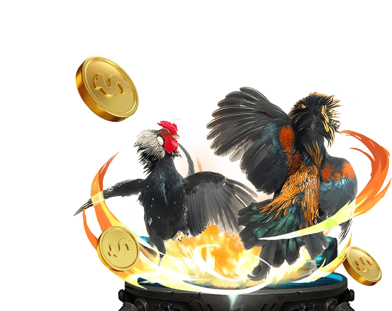 Chương trình VIP typhu88 biz